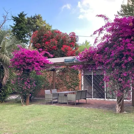 Casa Con Piscina Climatizada Y Gran Jardin Villa